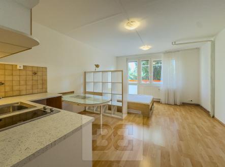IMG_2974 | Pronájem bytu, 1+kk, 30 m²