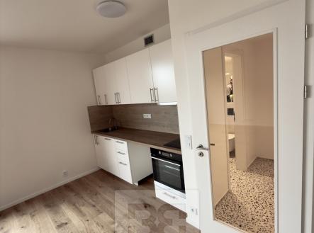 IMG_1044 | Pronájem bytu, 1+kk, 39 m²