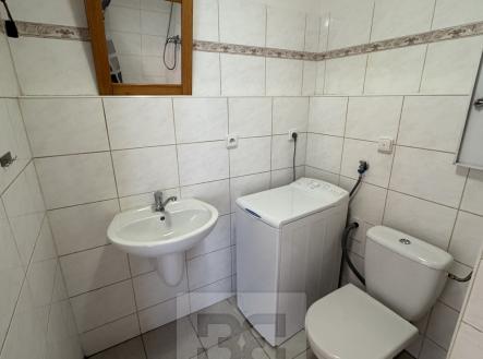 Koupelna 1 | Pronájem bytu, 1+kk, 18 m²