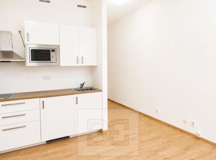 D275DA02-8AE0-414F-B105-1EA1EB9CDA02 | Pronájem bytu, 1+kk, 28 m²