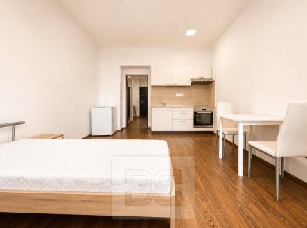 667925BA-9460-43E0-B182-E9FE812C5A23 | Pronájem bytu, 1+kk, 35 m²