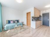 Pronájem bytu, 1+kk, 25 m²