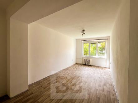 IMG_5955 | Pronájem bytu, 2+1, 60 m²