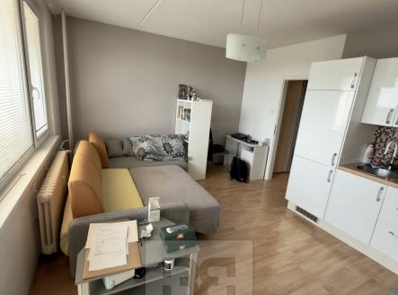 IMG_1138 | Pronájem bytu, 1+kk, 34 m²