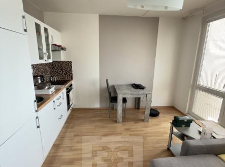 IMG_1139 | Pronájem bytu, 1+kk, 34 m²