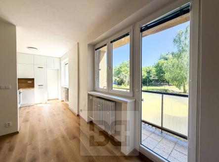 IMG_1304 | Pronájem bytu, 2+kk, 65 m²