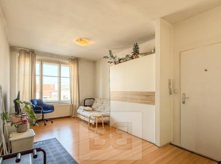 IMG_5051 | Pronájem bytu, 2+kk, 40 m²