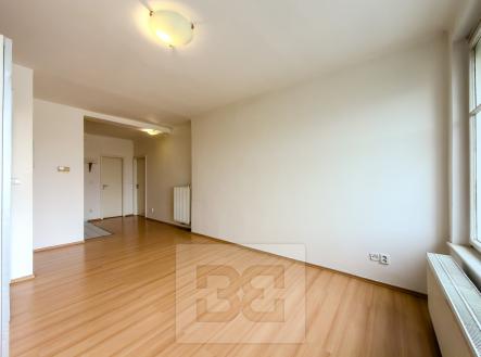 IMG_8155 | Pronájem bytu, 2+kk, 40 m²