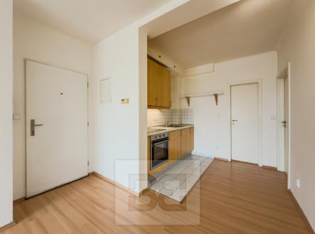 IMG_8157 | Pronájem bytu, 2+kk, 40 m²