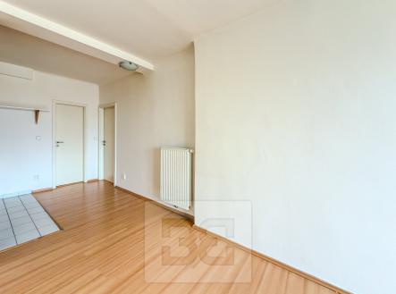 IMG_8162 | Pronájem bytu, 2+kk, 40 m²
