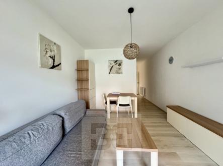 IMG_4152 | Pronájem bytu, 1+kk, 40 m²