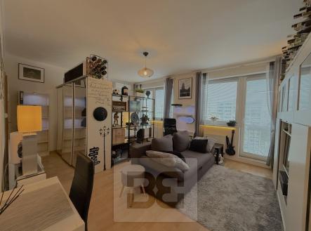 IMG_9002 | Pronájem bytu, 1+kk, 33 m²