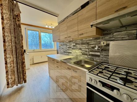 IMG_2359 | Pronájem bytu, 2+1, 55 m²