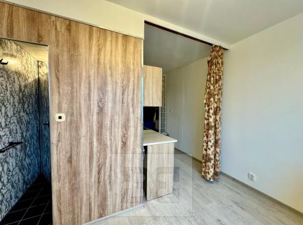 IMG_2362 | Pronájem bytu, 2+1, 55 m²