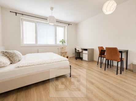 6E24A609-F3D6-4E4F-9C02-654E135AAAD8 | Pronájem bytu, 1+kk, 26 m²