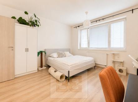 5C587E28-E998-44FC-B375-42D2383FBAA4 | Pronájem bytu, 1+kk, 26 m²
