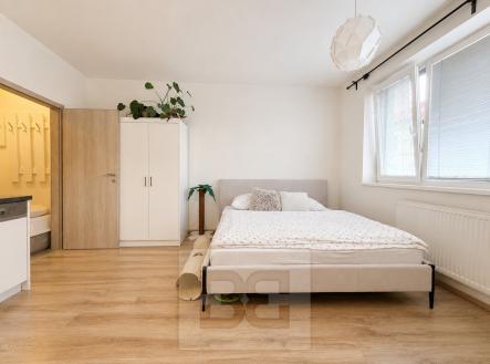 09C58B99-C821-4326-A9B0-E60E64E33689 | Pronájem bytu, 1+kk, 26 m²