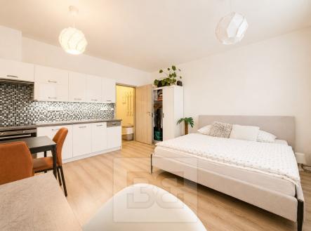 AF32FC3C-E19E-4C7C-BF75-F6F38D70D552 | Pronájem bytu, 1+kk, 26 m²