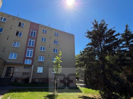 IMG_1292 | Pronájem bytu, 2+kk, 65 m²