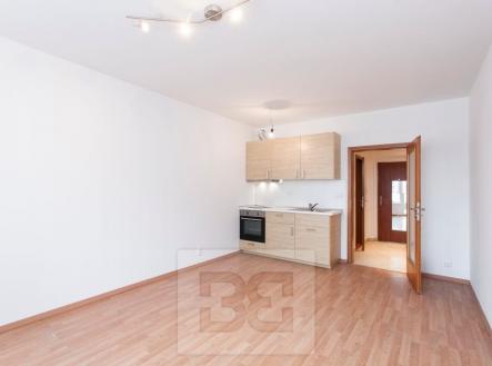 IMG_0015 | Prodej bytu, 1+kk, 31 m²