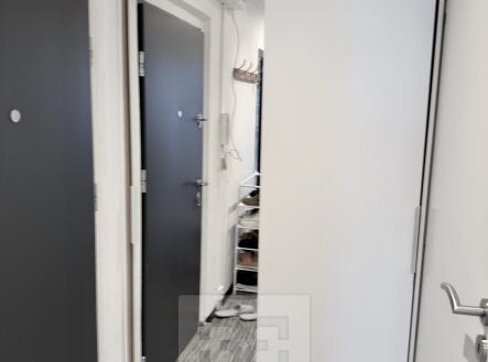 IMG_1232 | Pronájem bytu, 1+kk, 54 m²