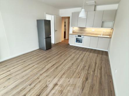 IMG_0661 | Pronájem bytu, 2+kk, 68 m²