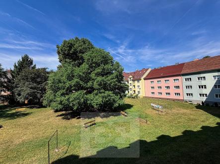 IMG_1867 | Pronájem bytu, 2+1, 55 m²