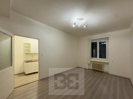 IMG_8905 | Pronájem bytu, 1+kk, 26 m²