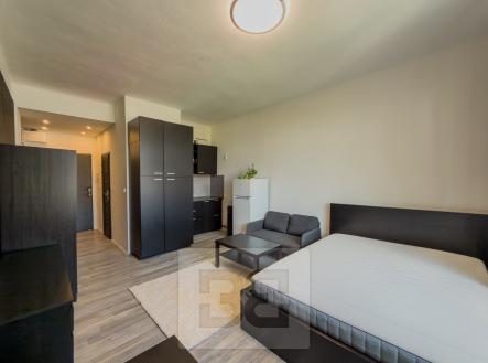 IMG_8176 | Pronájem bytu, 1+kk, 25 m²