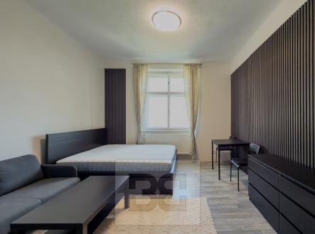 IMG_8185 | Pronájem bytu, 1+kk, 25 m²