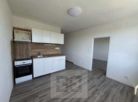 IMG_2822 | Pronájem bytu, 1+1, 36 m²