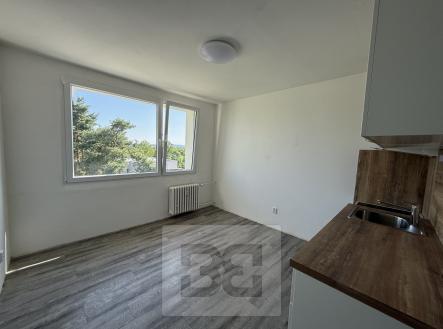 IMG_2819 | Pronájem bytu, 1+1, 36 m²