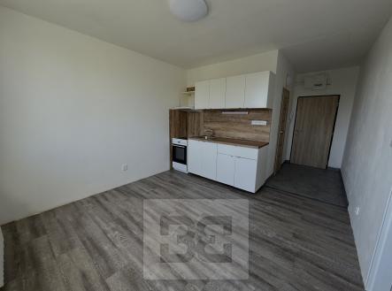 IMG_2821 | Pronájem bytu, 1+1, 36 m²