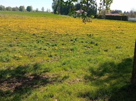 Prodej - pozemek pro bydlení, 1 443 m²