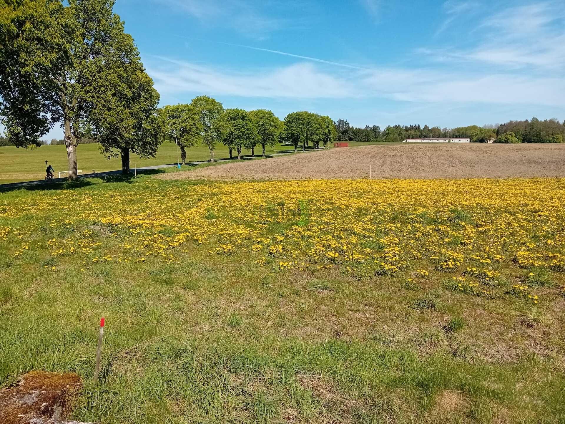 Stavební parcela Popelín - Strmilov u Jindřichova Hradce