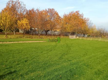 Prodej - pozemek pro bydlení, 2 386 m²