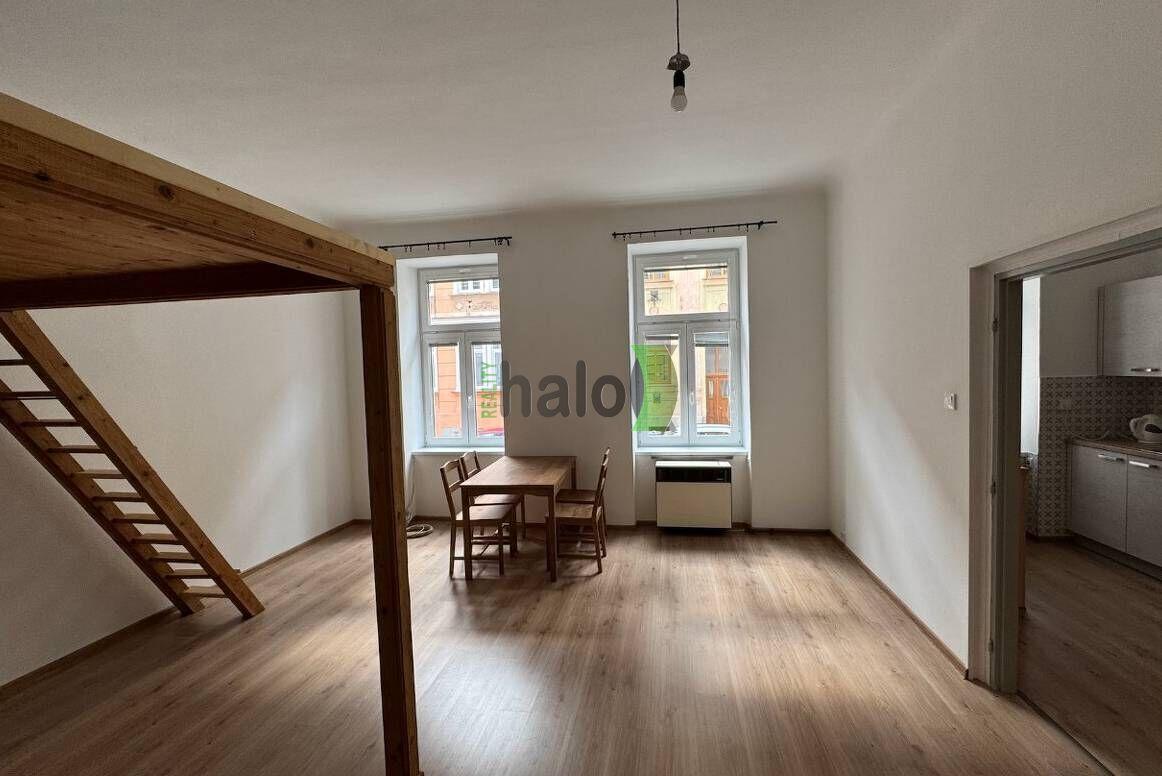 Pronájem 1+1 České Budějovice, Štítného