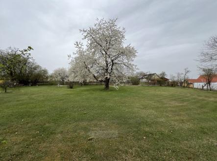 foto: 4 | Prodej - pozemek pro bydlení, 650 m²