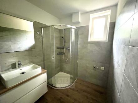 foto: 4 | Pronájem bytu, 3+1, 220 m²