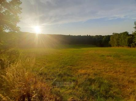 foto: 2 | Prodej - pozemek, trvalý travní porost, 6 634 m²