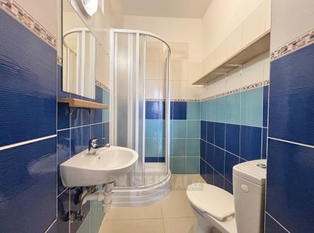 foto: 3 | Pronájem bytu, 1+kk, 19 m²