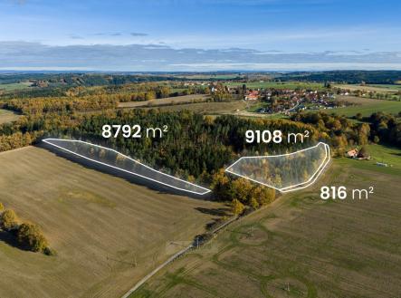 foto: 2 | Prodej - pozemek, les, 18 716 m²