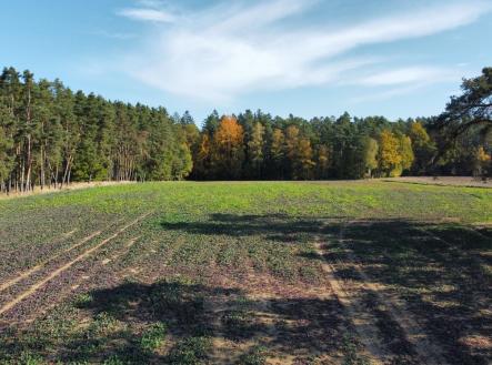 foto: 4 | Prodej - pozemek, zemědělská půda, 49 992 m²