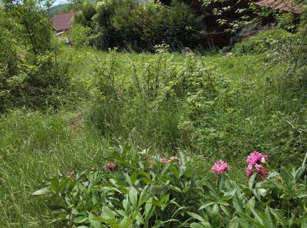 foto: 2 | Prodej - pozemek, zahrada, 316 m²
