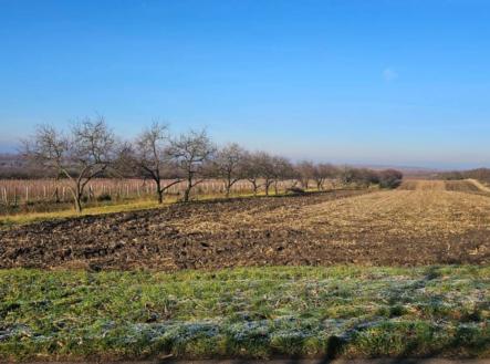 Bez popisku | Prodej - pozemek, zahrada, 3 450 m²