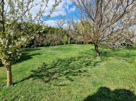 Bez popisku | Prodej - pozemek, zahrada, 1 373 m²