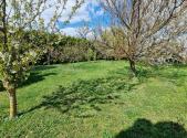 Prodej - pozemek, zahrada, 1 373 m²