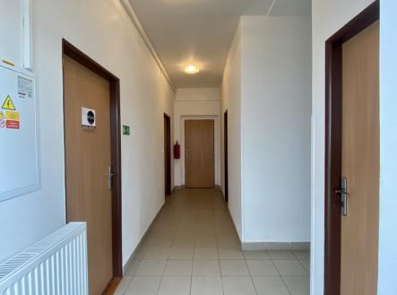 Pronájem - kanceláře, 12 m²