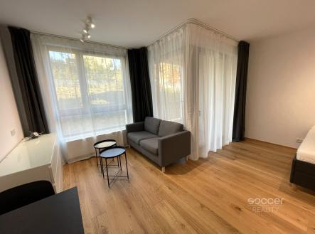 Pronájem bytu, 1+kk, 39 m²