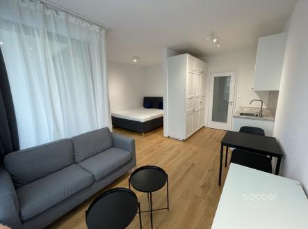 Pronájem bytu, 1+kk, 39 m²